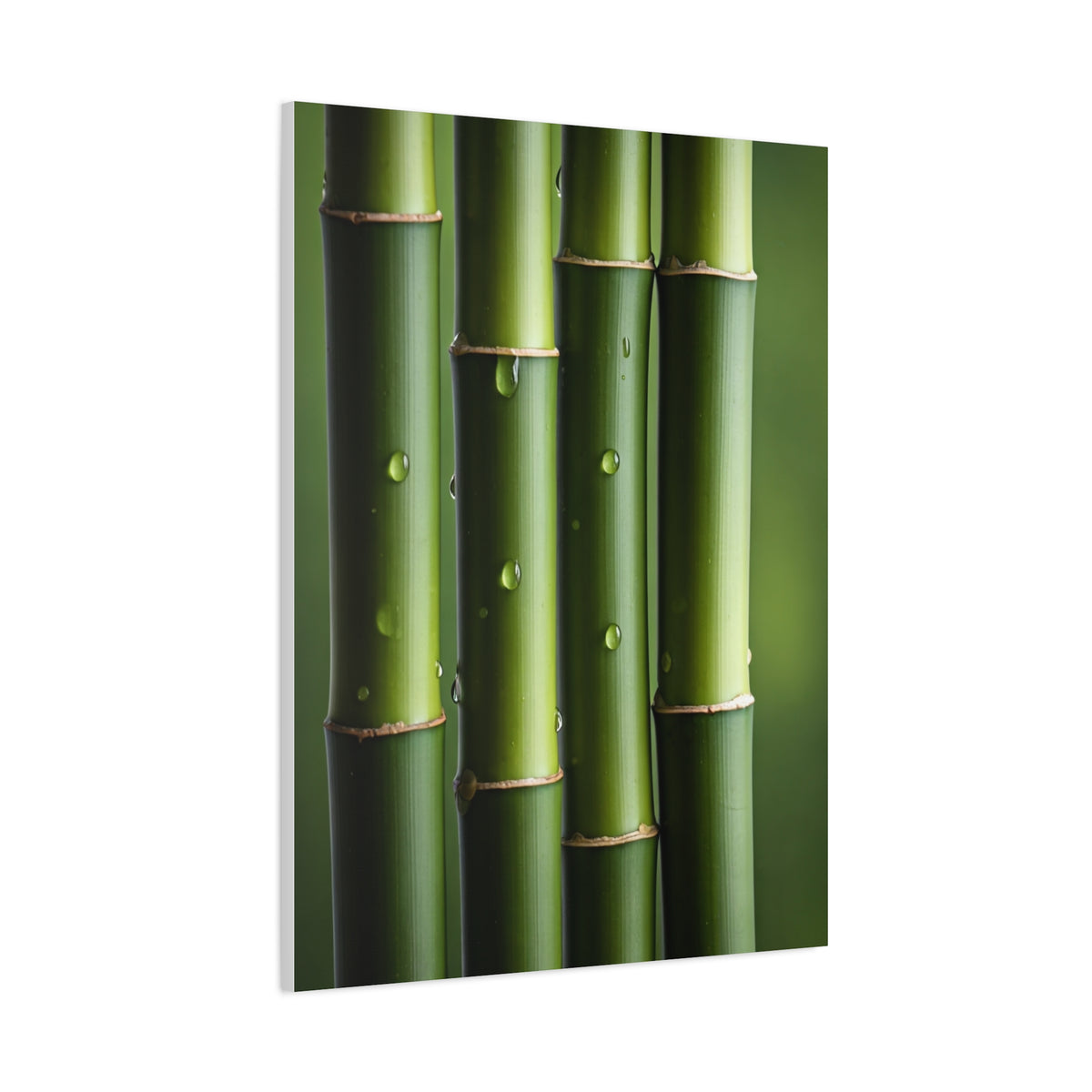 Green Bamboo Stalks Natural Zen Wall Art & Canvas Prints