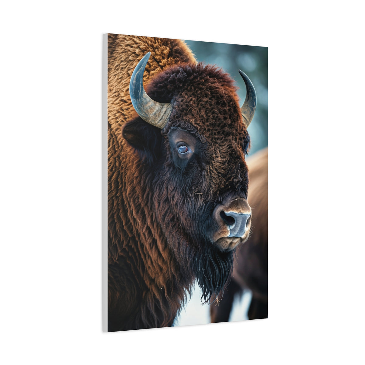 Three-Quarter Angle American Bison with Soft Natural Backdrop Wall Art & Canvas Print