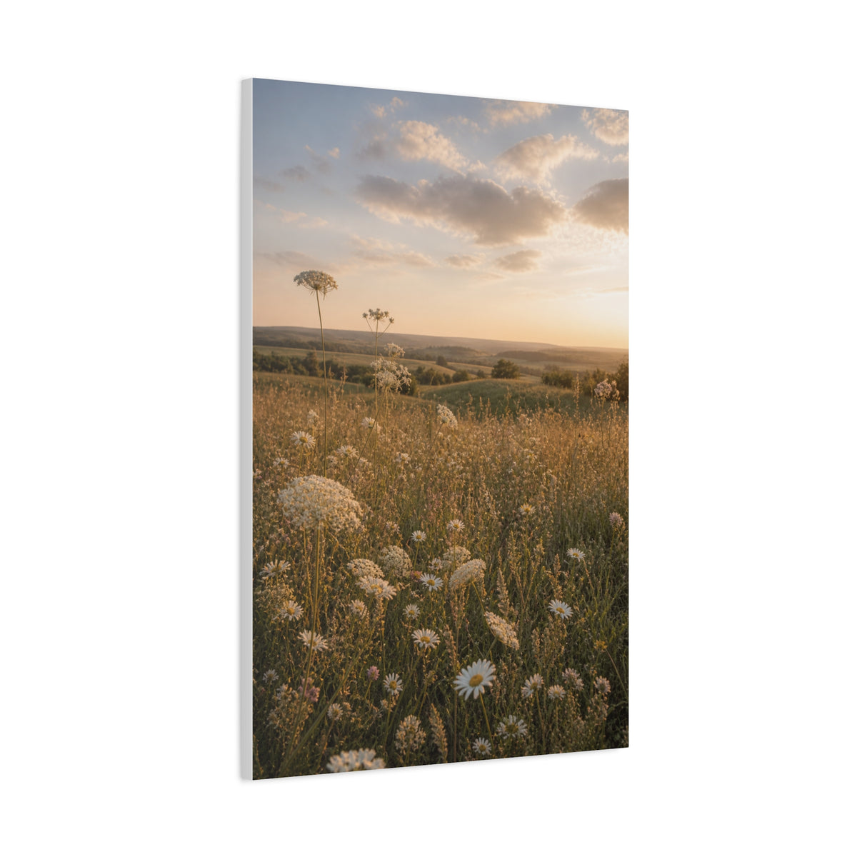 Golden Wildflower Meadow Wall Art & Canvas Print