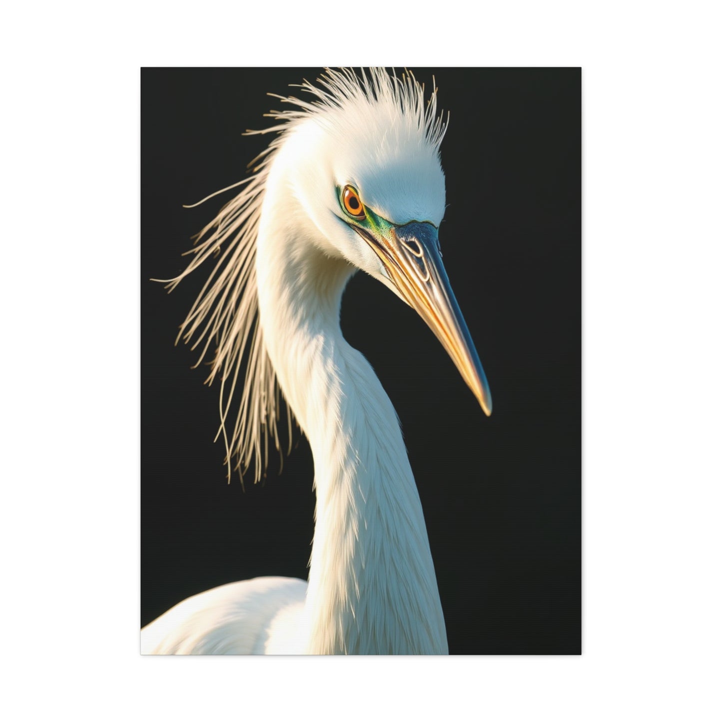 Collection Egret Art Wall Art & Canvas Print