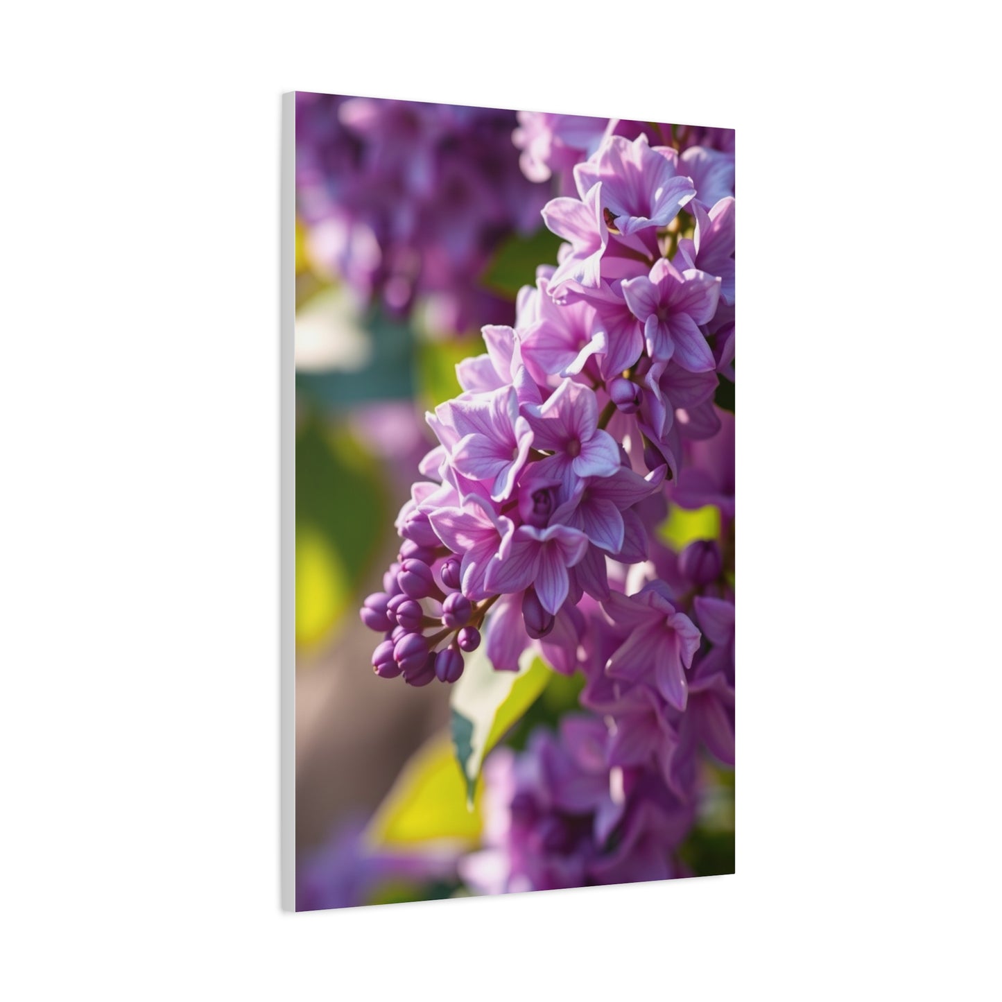 Lilac Flower Art Supreme Canvas Wall Art & Canvas Print