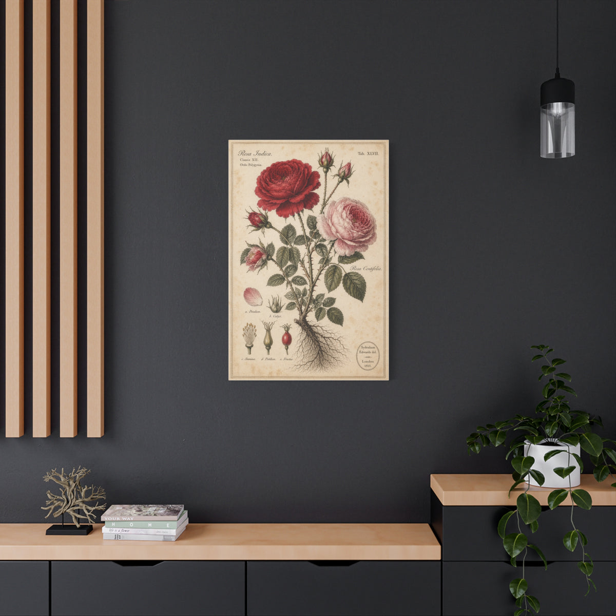 Victorian Rose Botanical Study Wall Art & Canvas Print