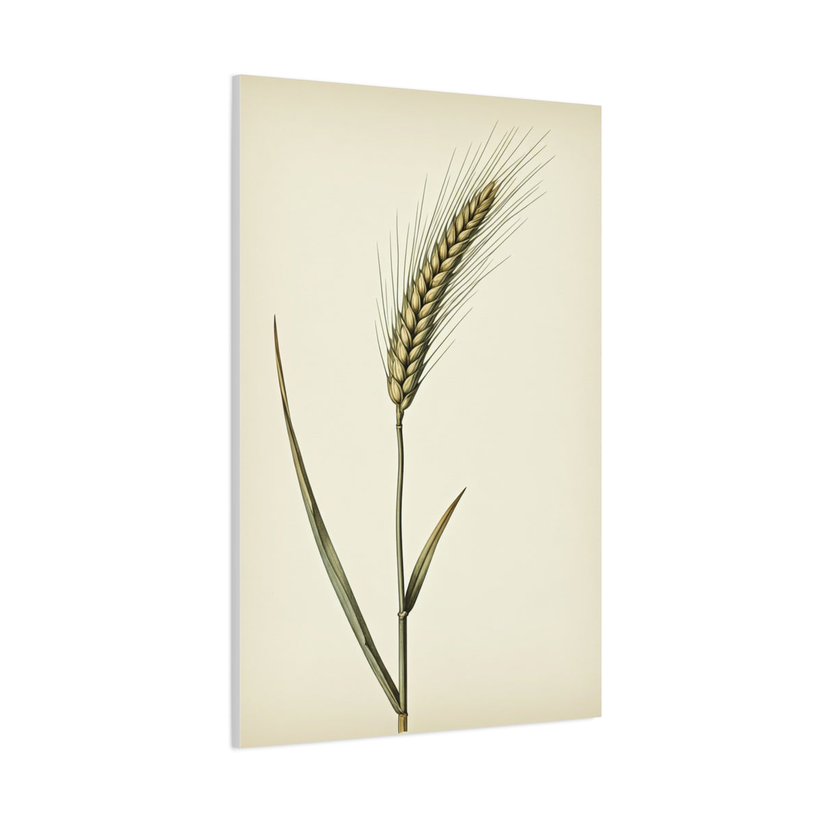 Golden Grain Stem Illustration Wall Art & Canvas Prints