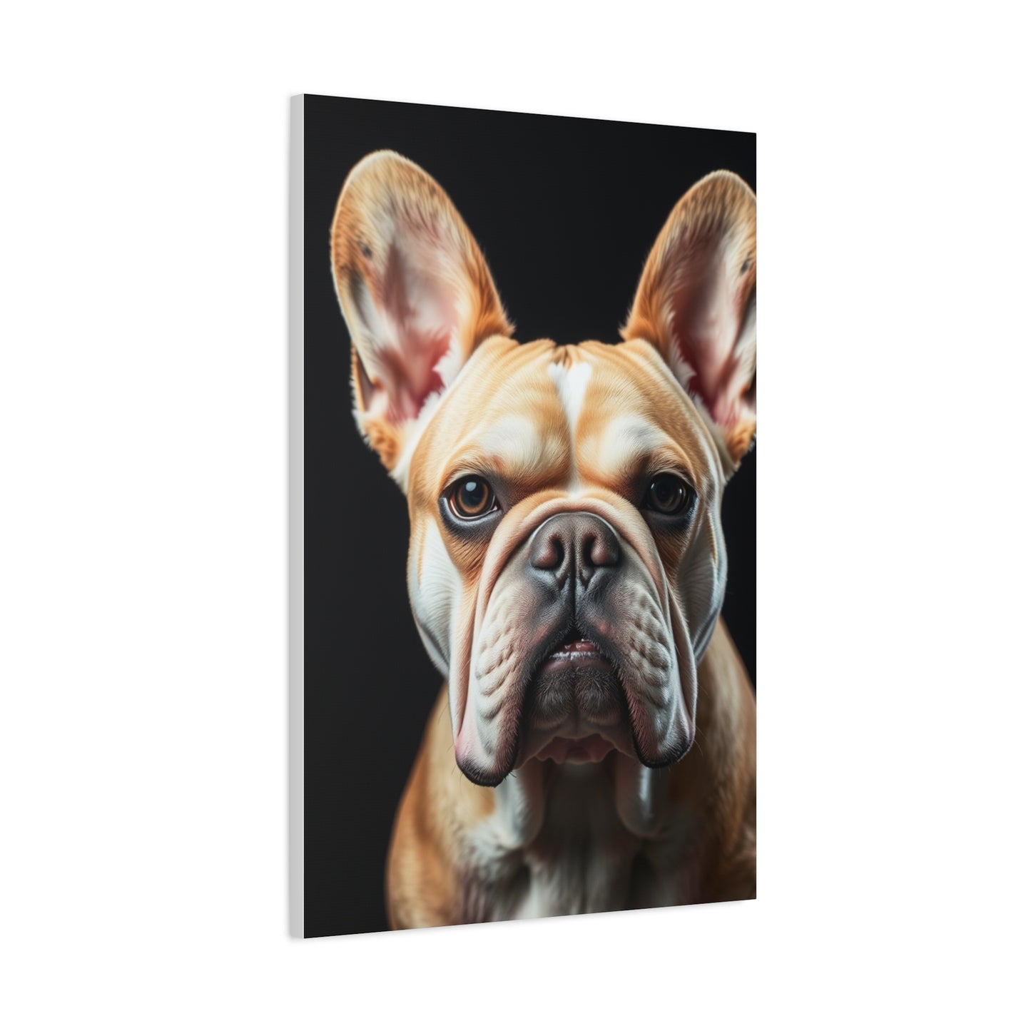 Elite French Bulldog Art Vision Wall Art & Canvas Print