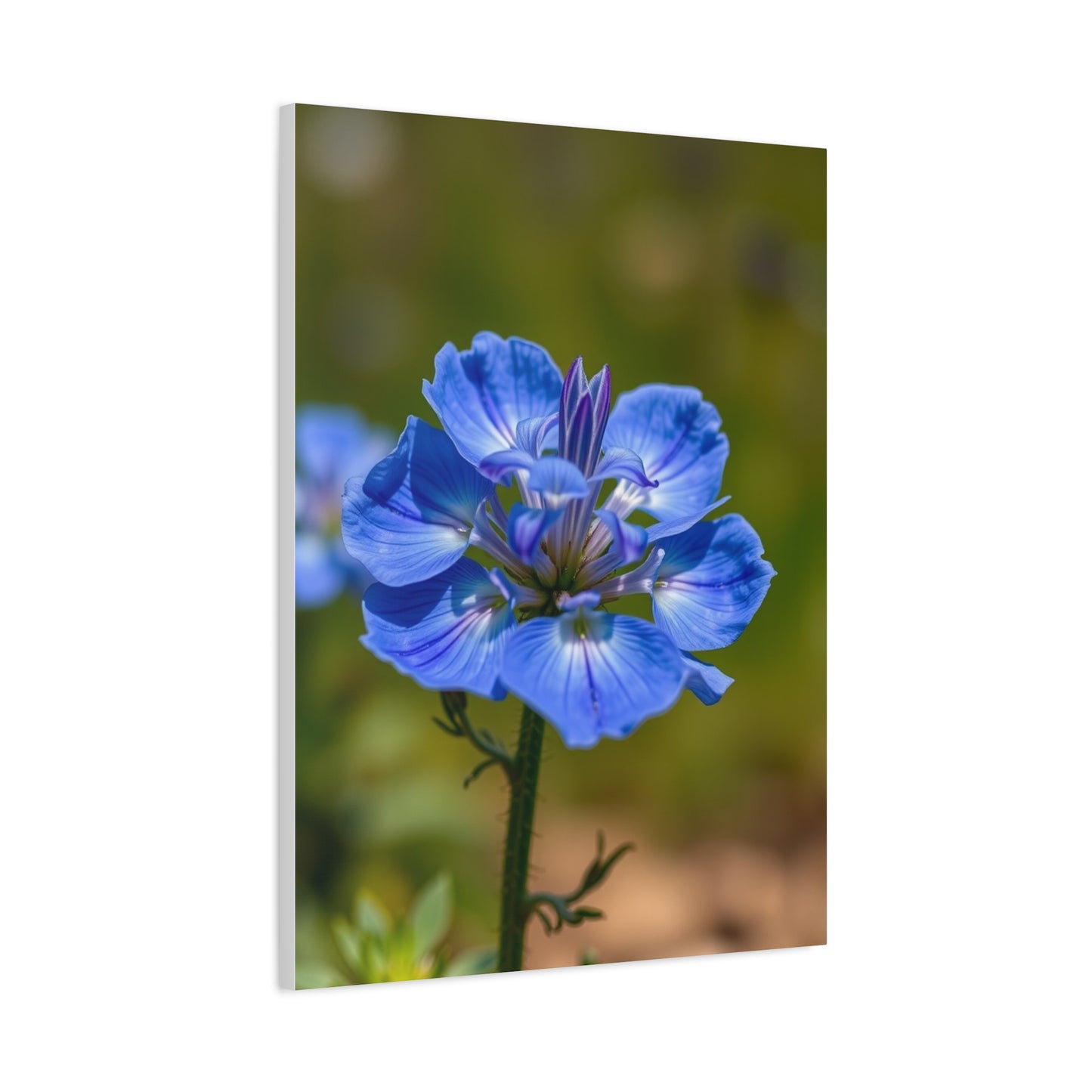 Supreme Bluebonnet Flower Art Wall Art & Canvas Print