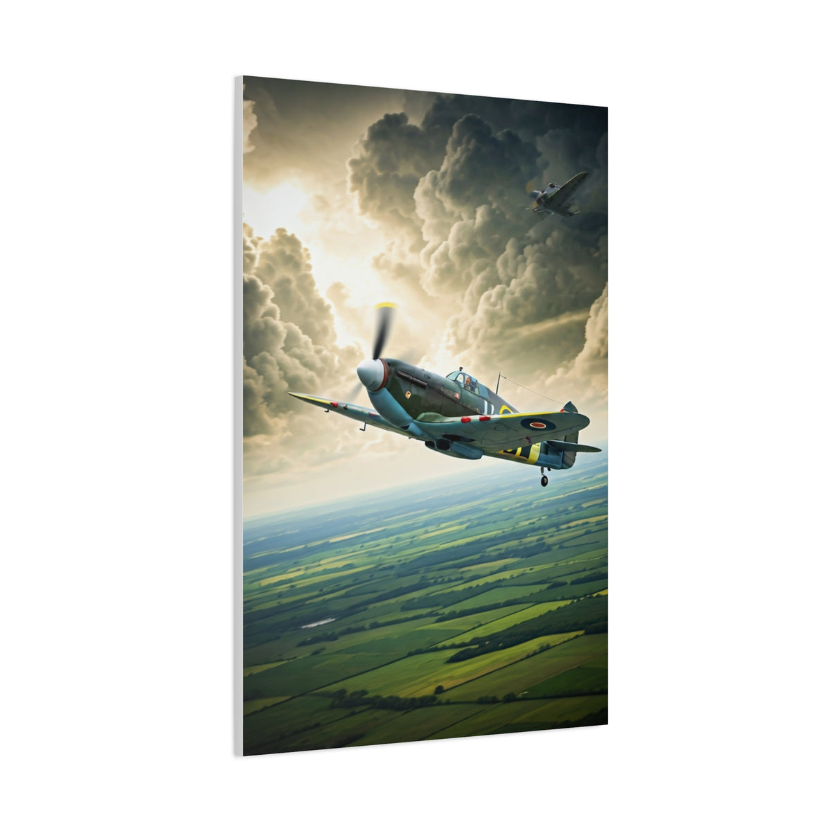 Classic Propeller Plane Over Open Fields Wall Art & Canvas Prints