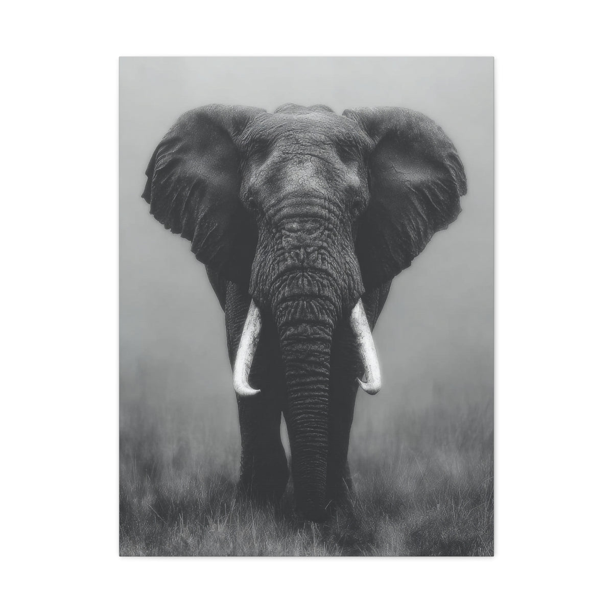 Black and White Elephant Portrait Wall Art & Canvas Prints