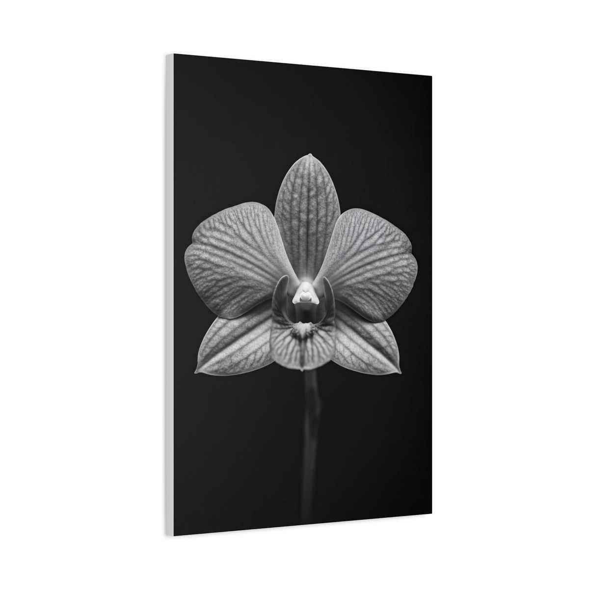 Orchid Serenity Study Wall Art & Canvas Prints