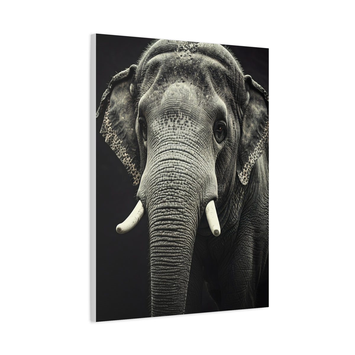Regal Elephant Close-Up Wall Art & Canvas Prints