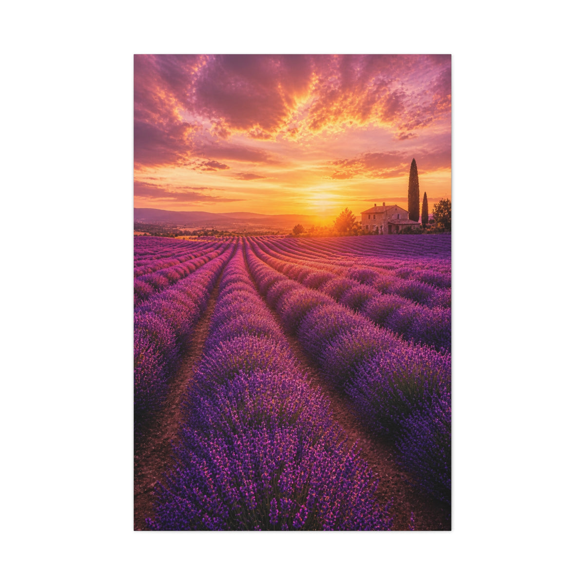 Lavender Fields Sunset Landscape Wall Art & Canvas Print