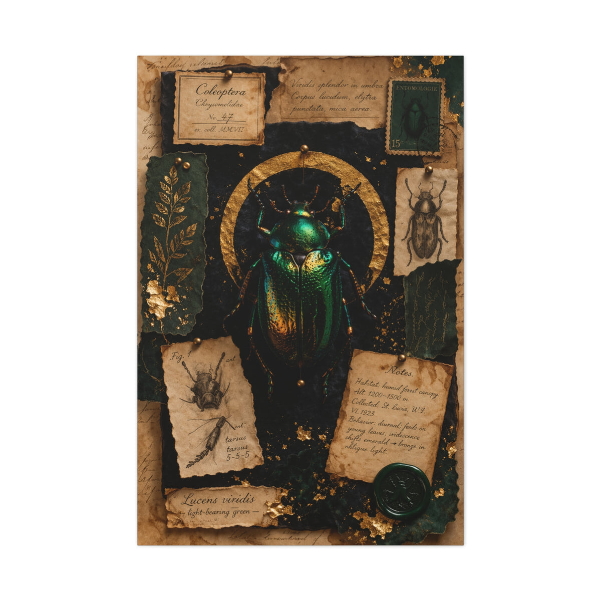 Cabinet of Curiosities Insect Study Wall Art & Canvas Print