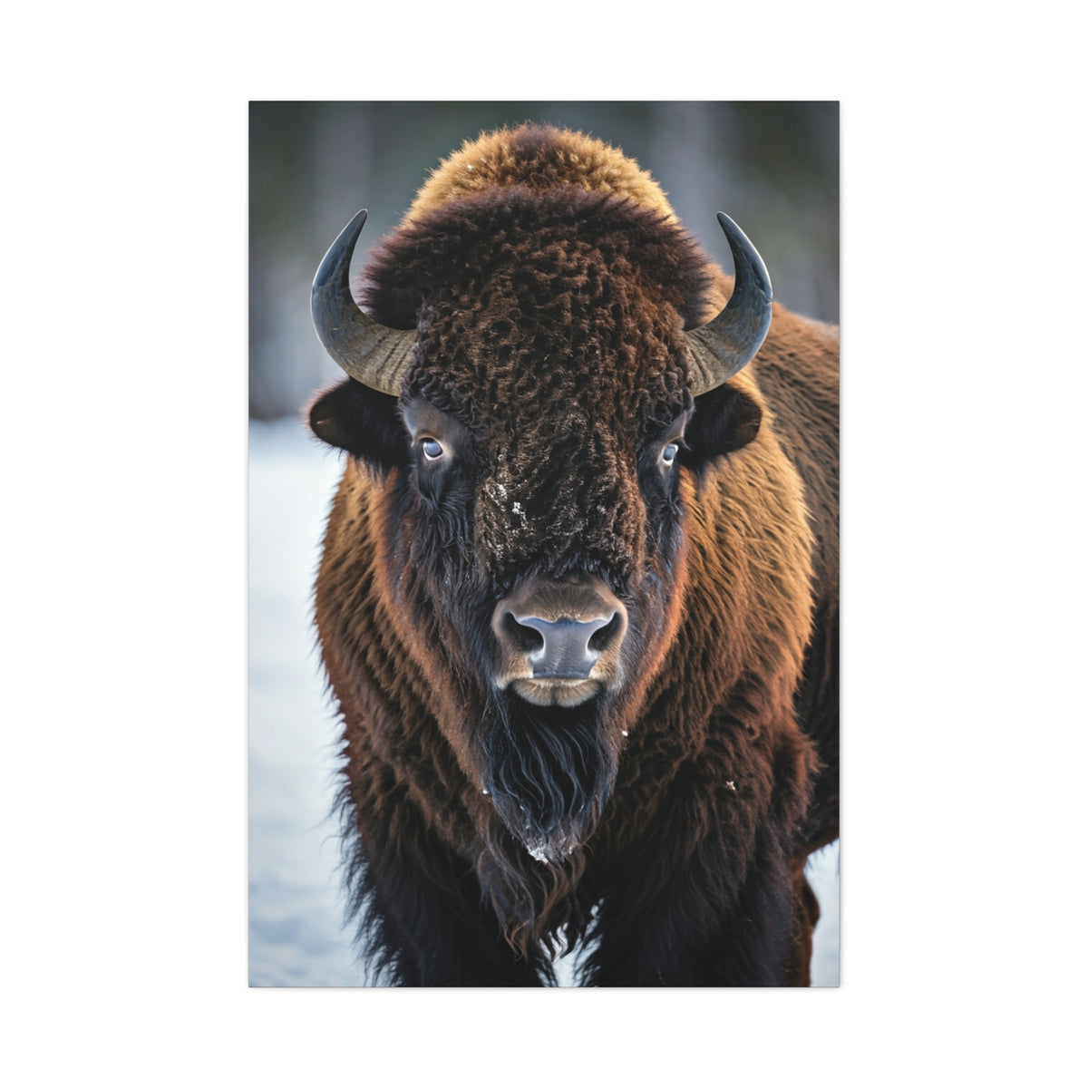 Minimalist American Bison Portrait on Light Background Wall Art & Canvas Print