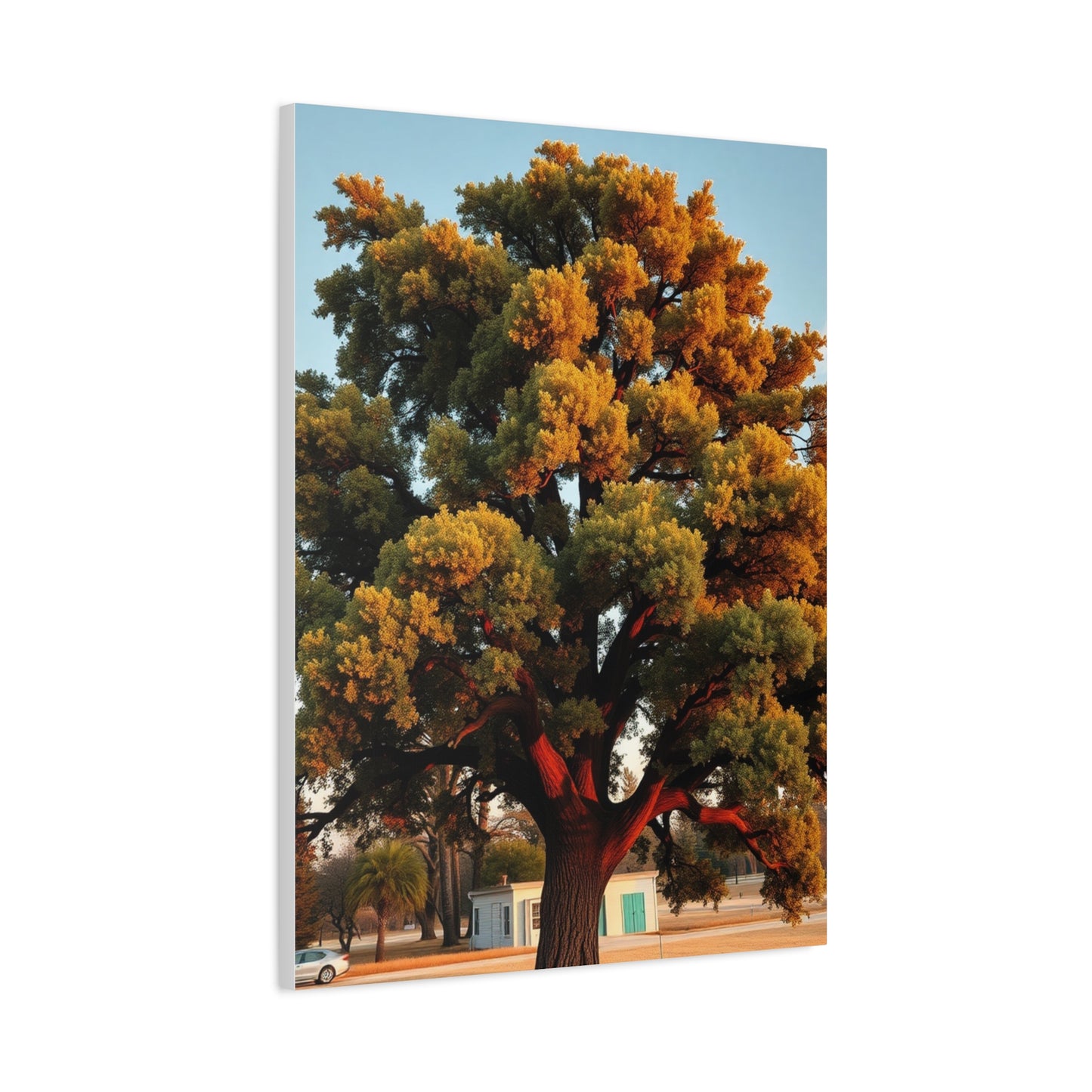 Oak Tree Art Luxury Canvas Wall Art & Canvas Print