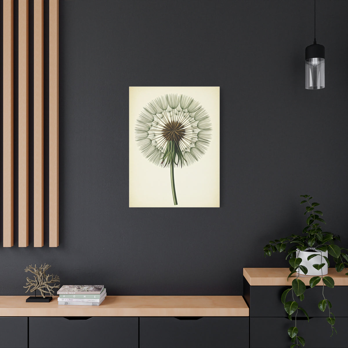 Dandelion Seed Head Illustration Wall Art & Canvas Prints