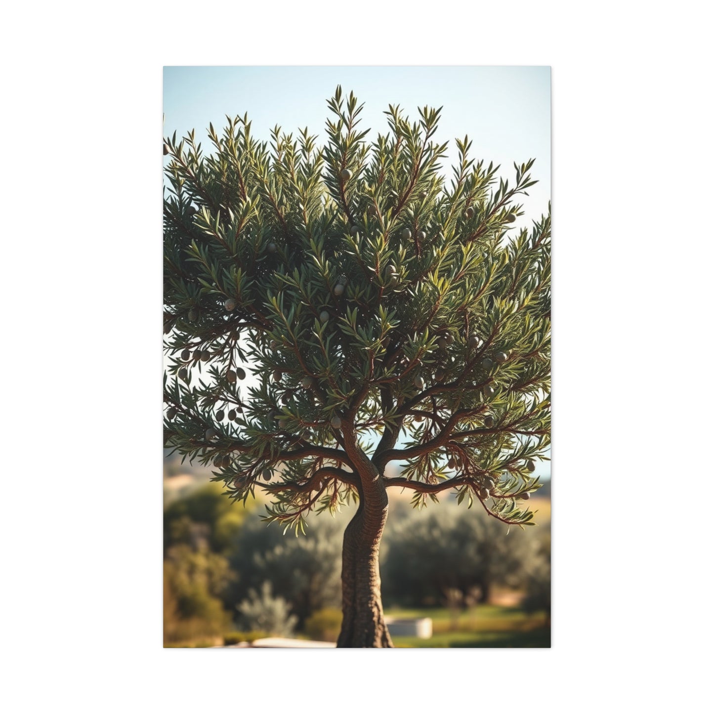 Supreme Olive Tree Art Wall Art & Canvas Print