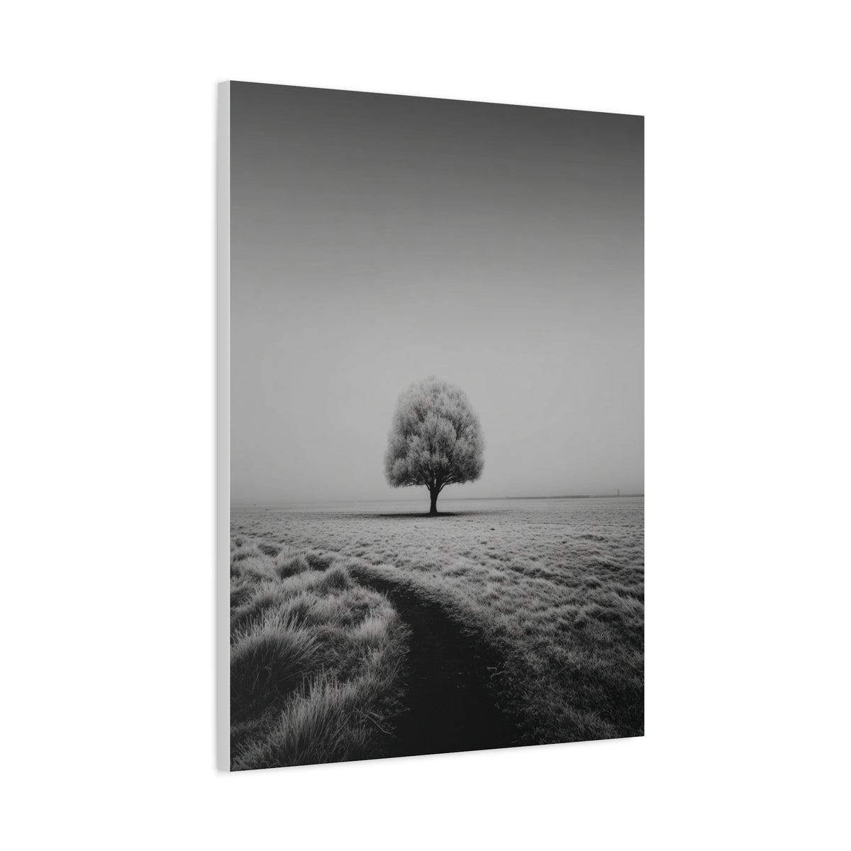 Lone Tree Winter Field Wall Art & Canvas Print