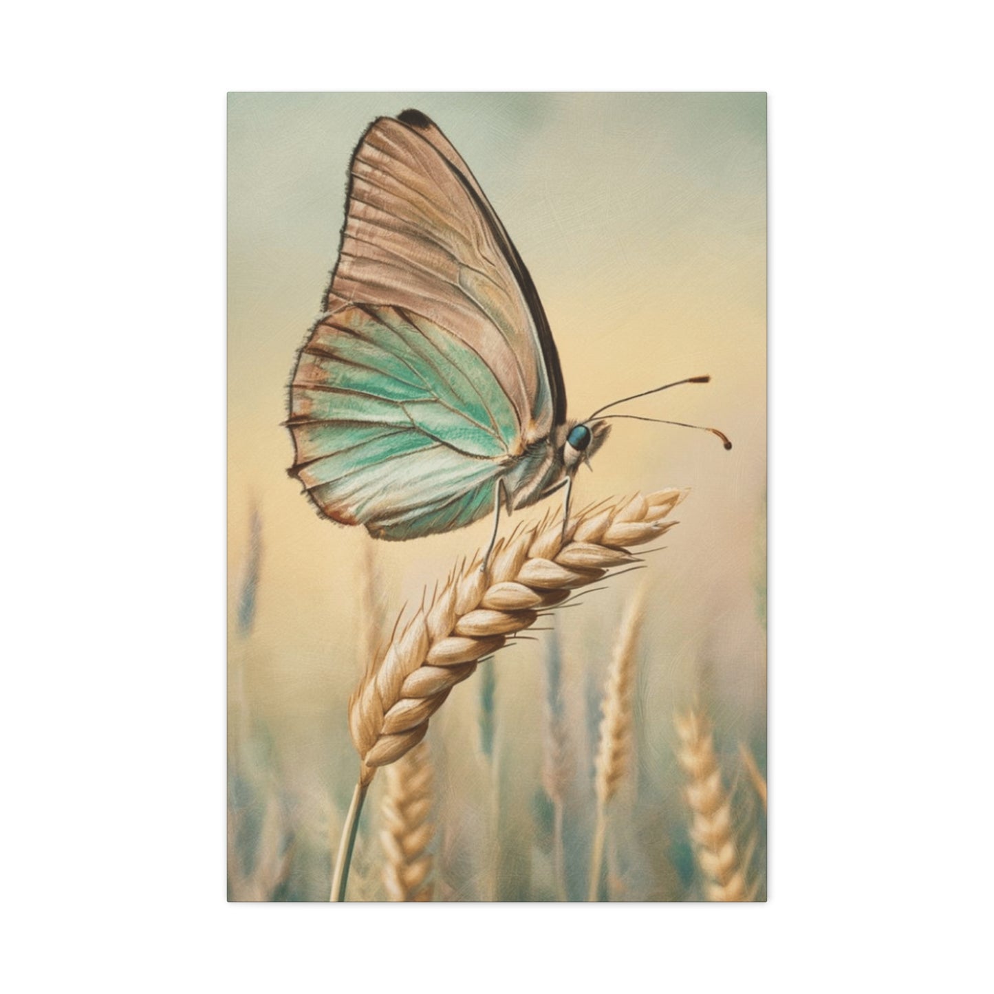 Butterfly on Wheat Crop Painting Wall Art & Canvas Prints