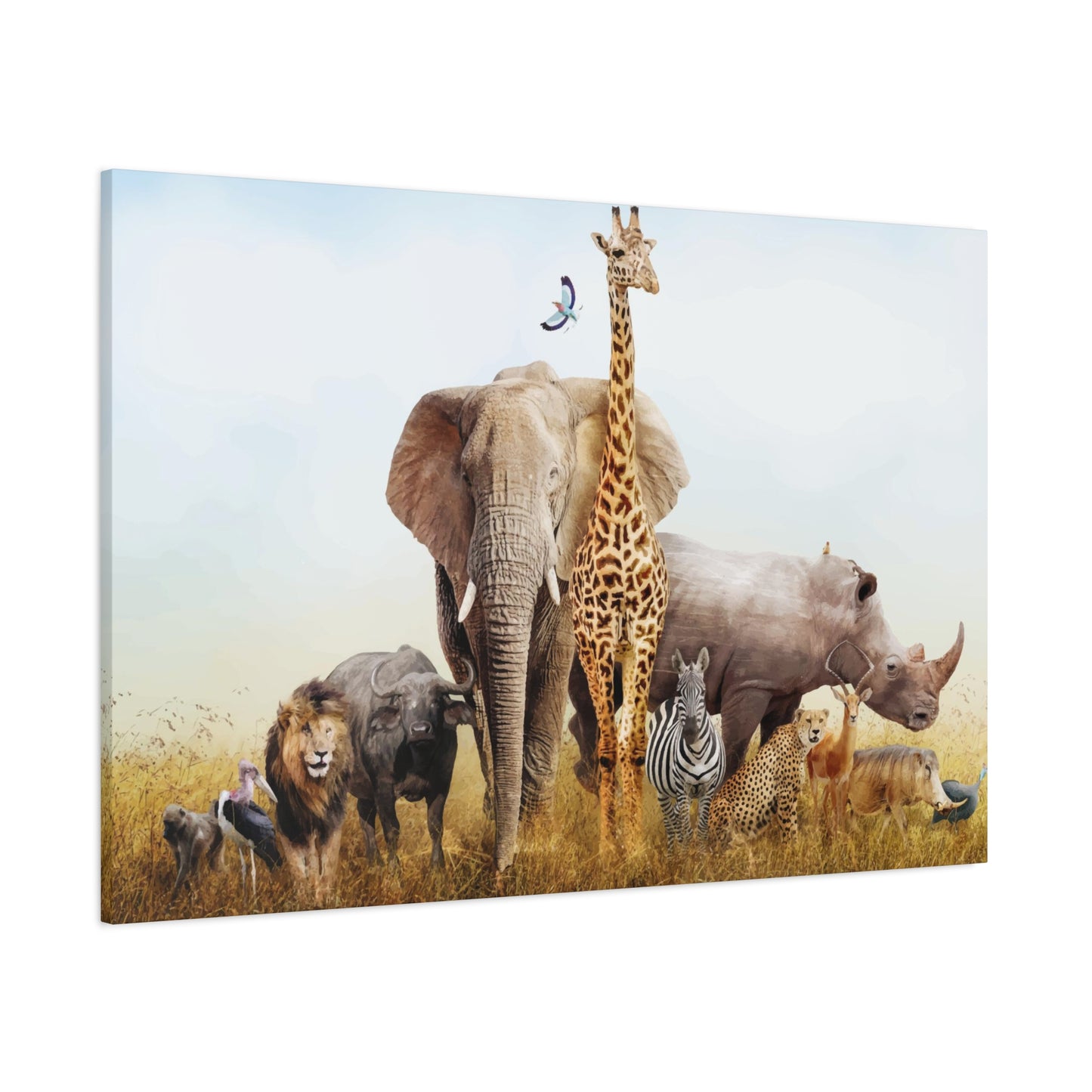 Animal Kingdom Wall Art & Canvas Prints