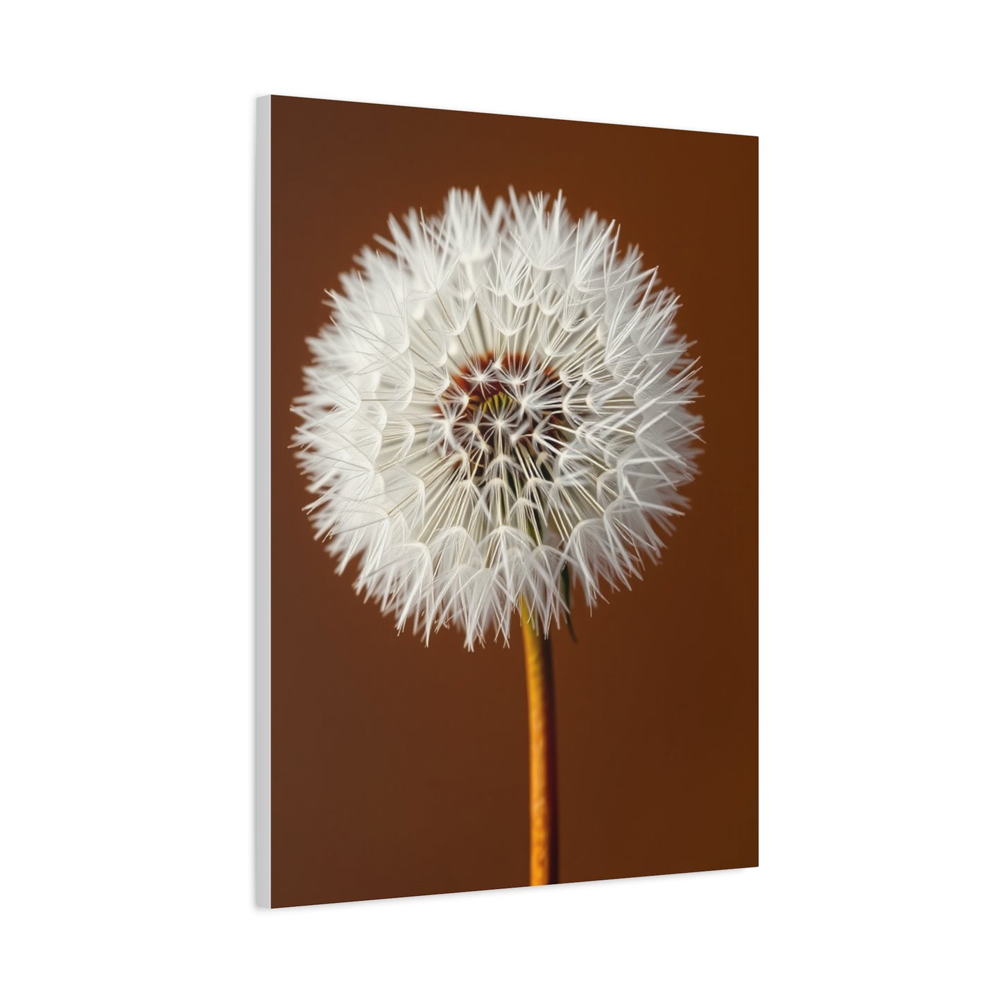 Supreme Dandelion Flower Art Wall Art & Canvas Print