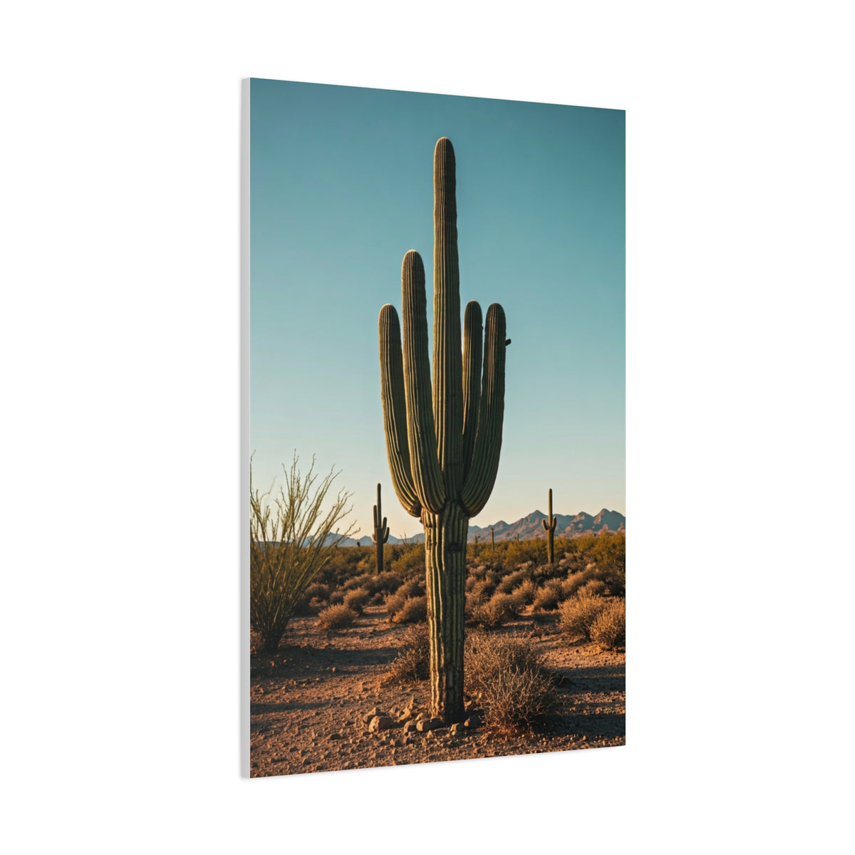 Classic Saguaro Desert Landscape Wall Art & Canvas Prints