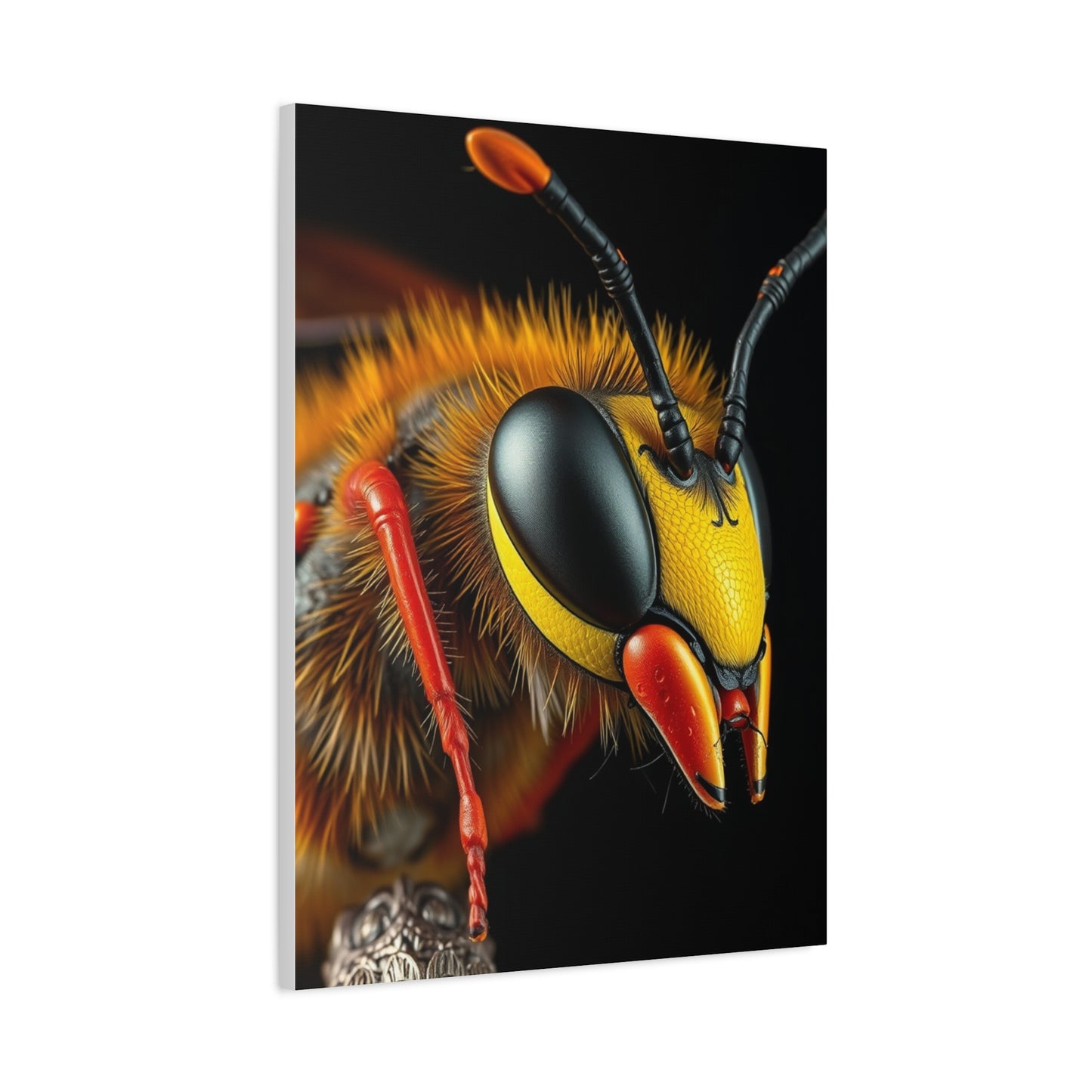 Vision Bees, Hornet & Wasps Art Art Wall Art & Canvas Print