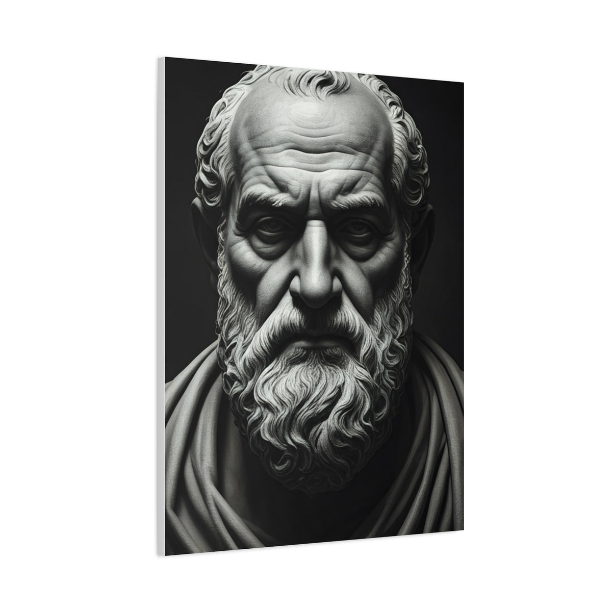 Timeless Wisdom Black & White Elder Portrait Wall Art & Canvas Prints