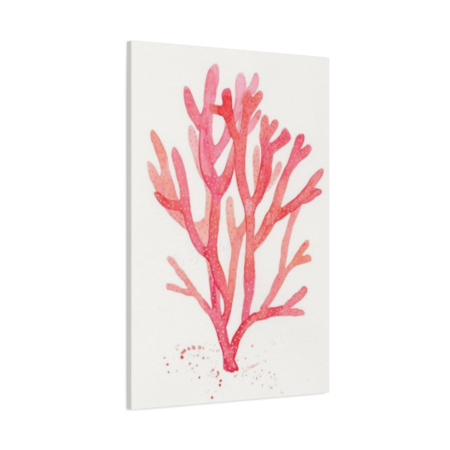 Pink Sea Coral Wall Art & Canvas Prints
