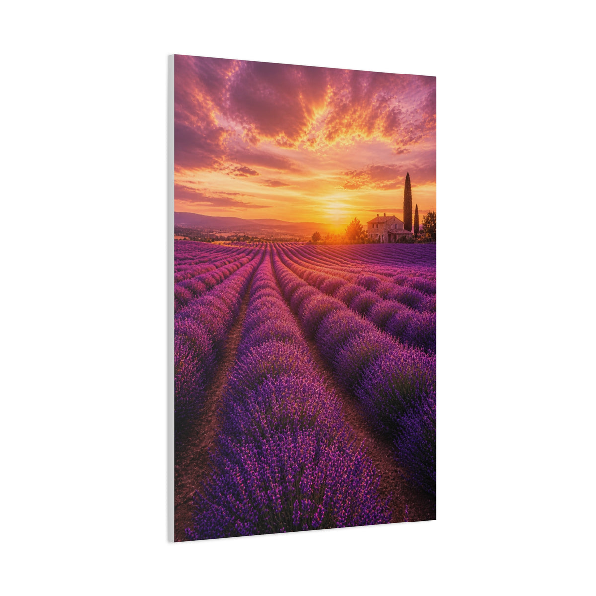 Lavender Fields Sunset Landscape Wall Art & Canvas Print
