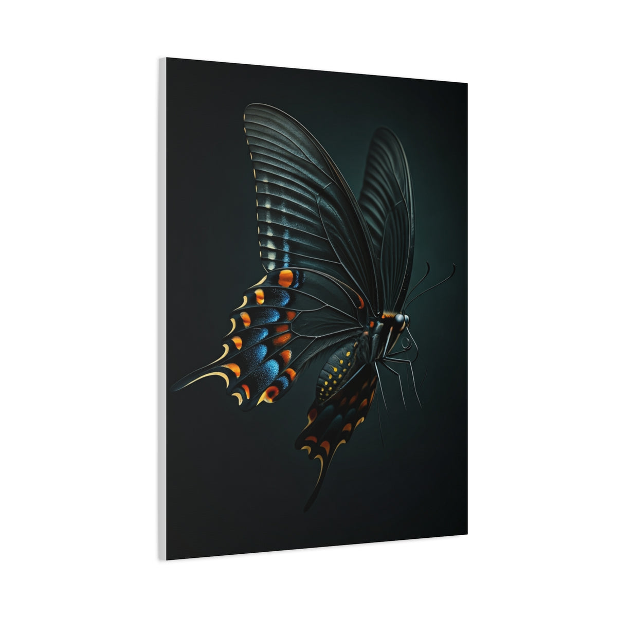 Dark Swallowtail Butterfly in Flight Wall Art & Canvas Prints