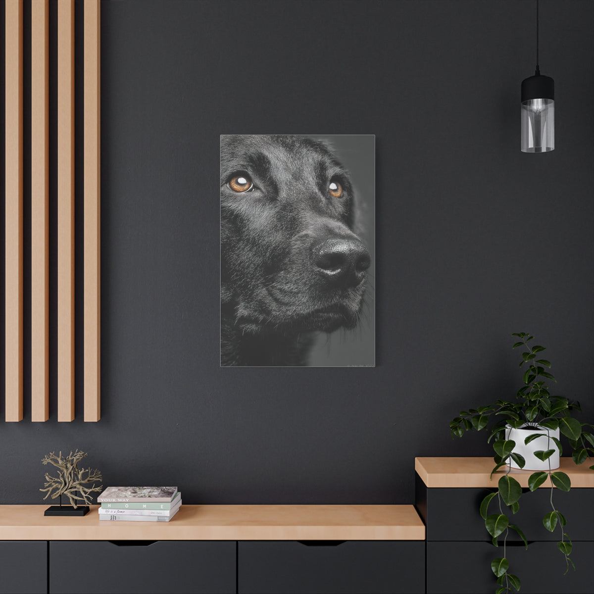 Black Labrador Fine Art Close-Up Wall Art & Canvas Print