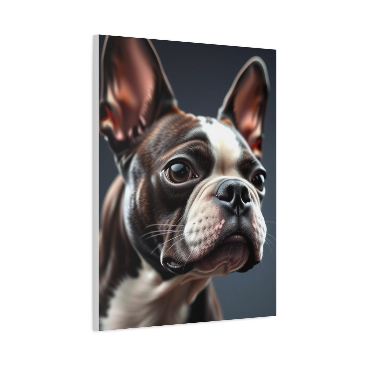 Boston Terrier Art Refined Canvas Wall Art & Canvas Print