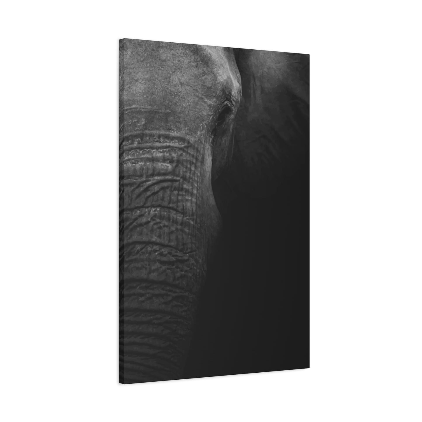 Elephant Wall Art & Canvas Prints