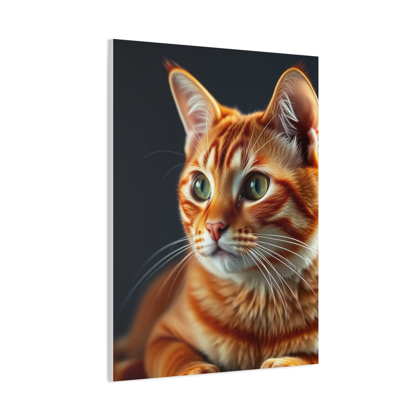 Supreme Orange Cat Art Collection Wall Art & Canvas Print