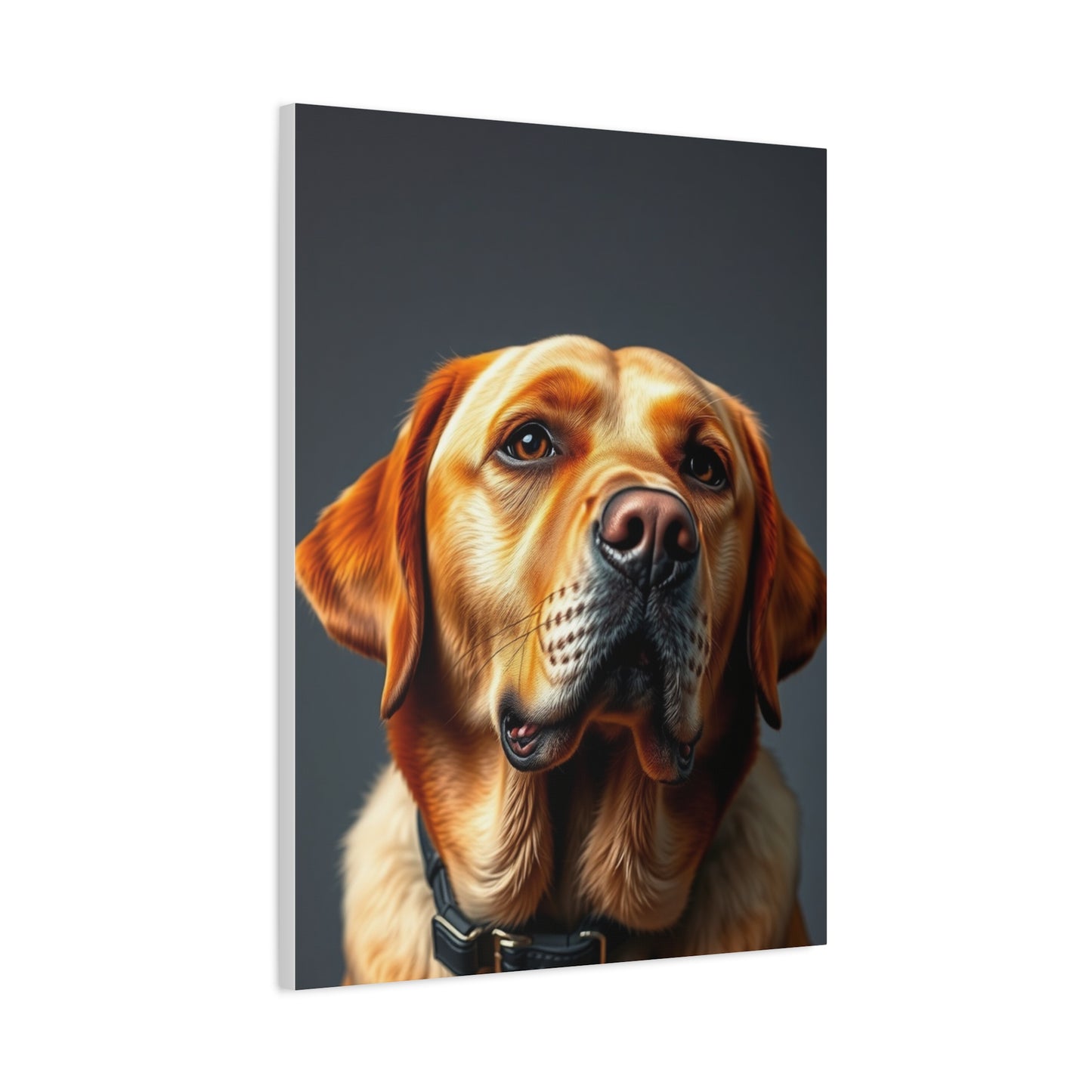 Labrador Retriever Art Supreme Gallery Wall Art & Canvas Print