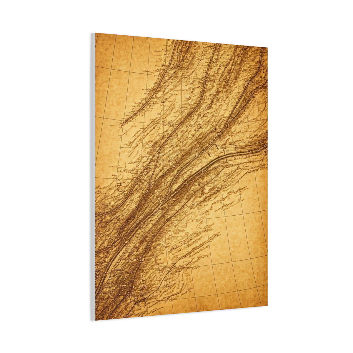 Antique Parchment Texture Abstract Wall Art & Canvas Prints