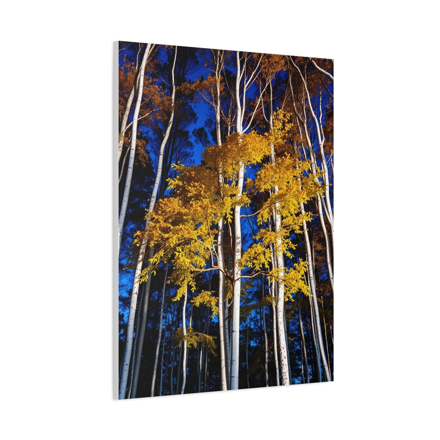 Vision Aspen Tree Art Art Wall Art & Canvas Print