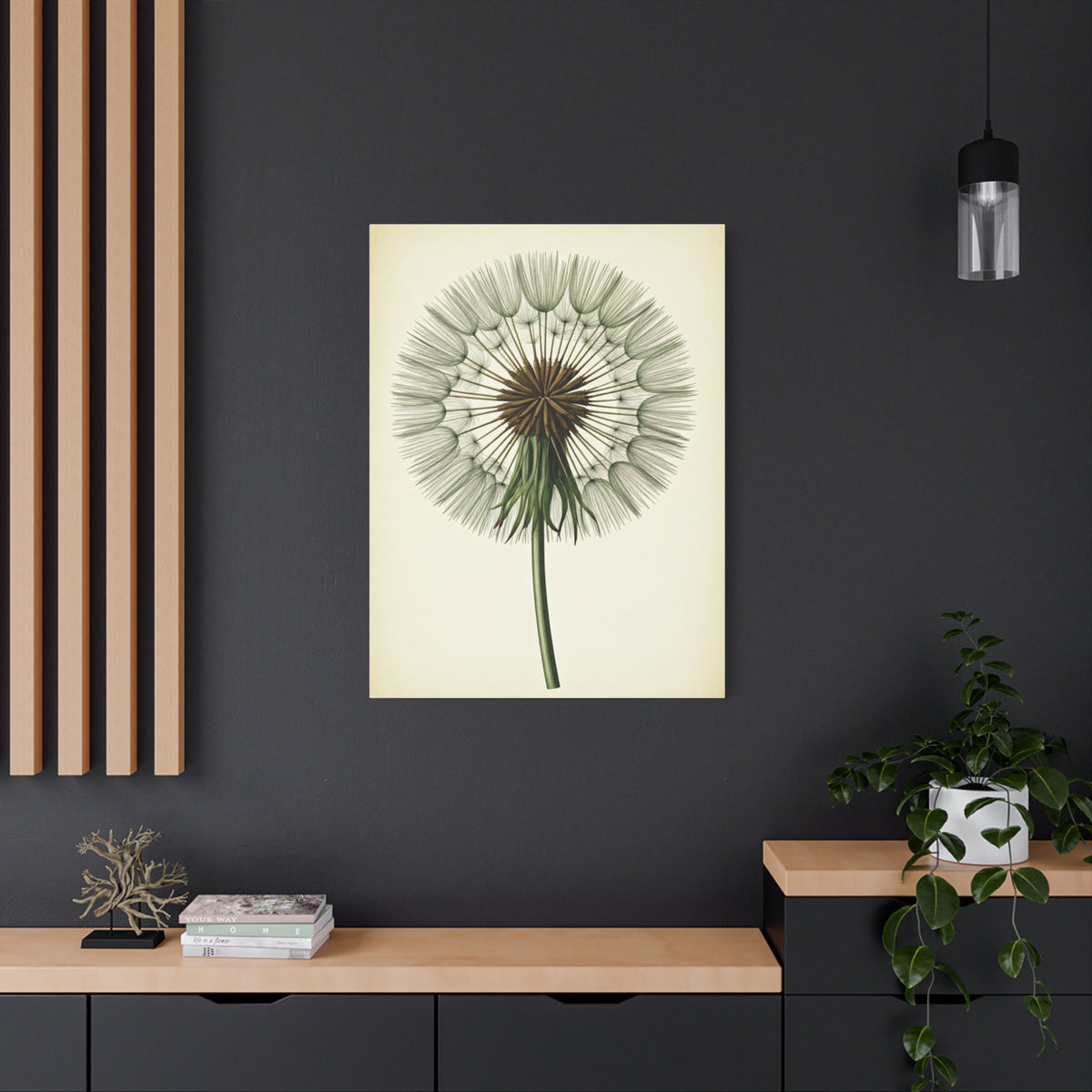 Dandelion Seed Head Illustration Wall Art & Canvas Prints