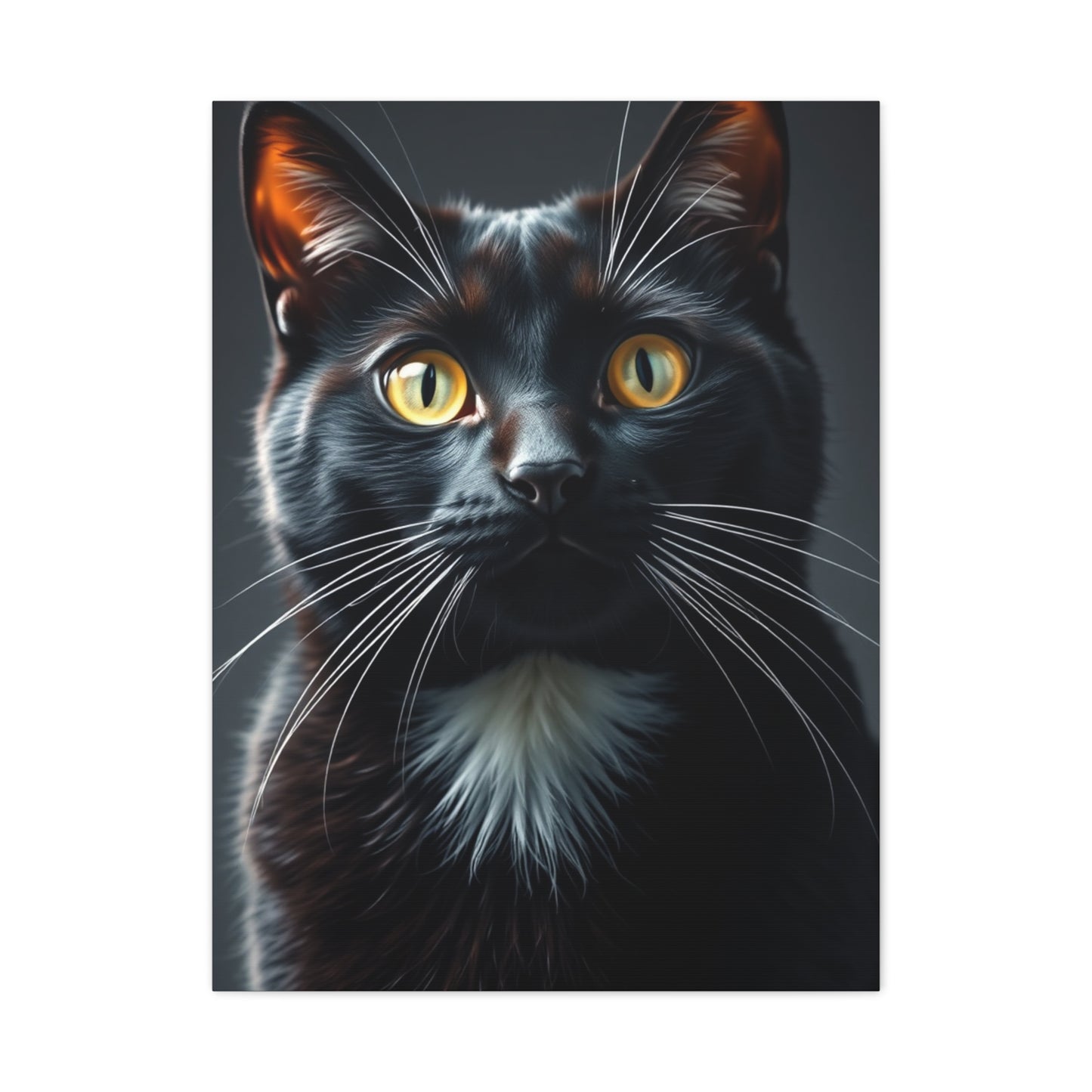 Supreme Tuxedo Cat Art Wall Art & Canvas Print