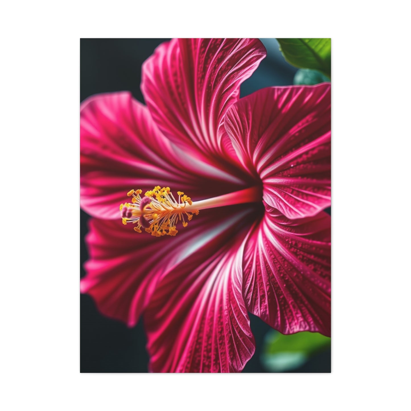 Collection Hibiscus Flower Art Wall Art & Canvas Print