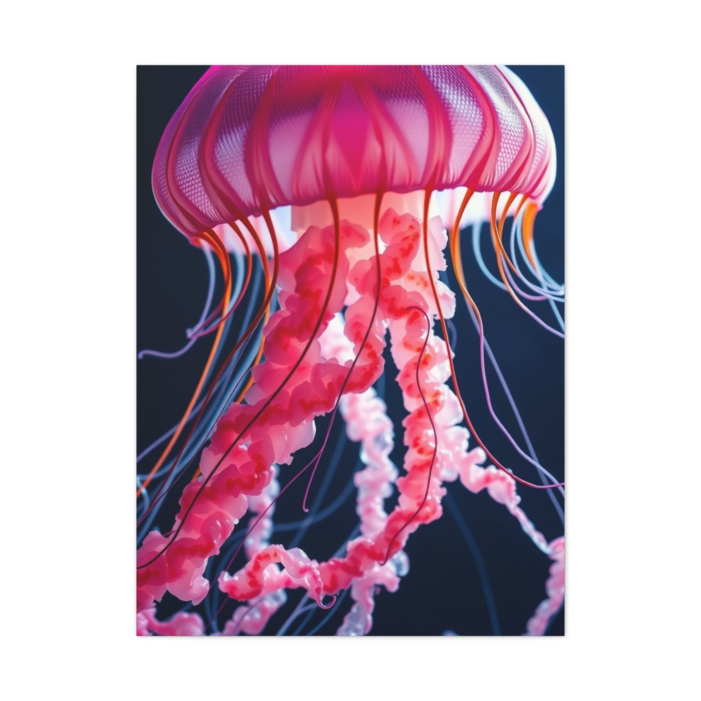 Jellyfish Art Supreme Canvas Gallery Wall Art & Canvas Print