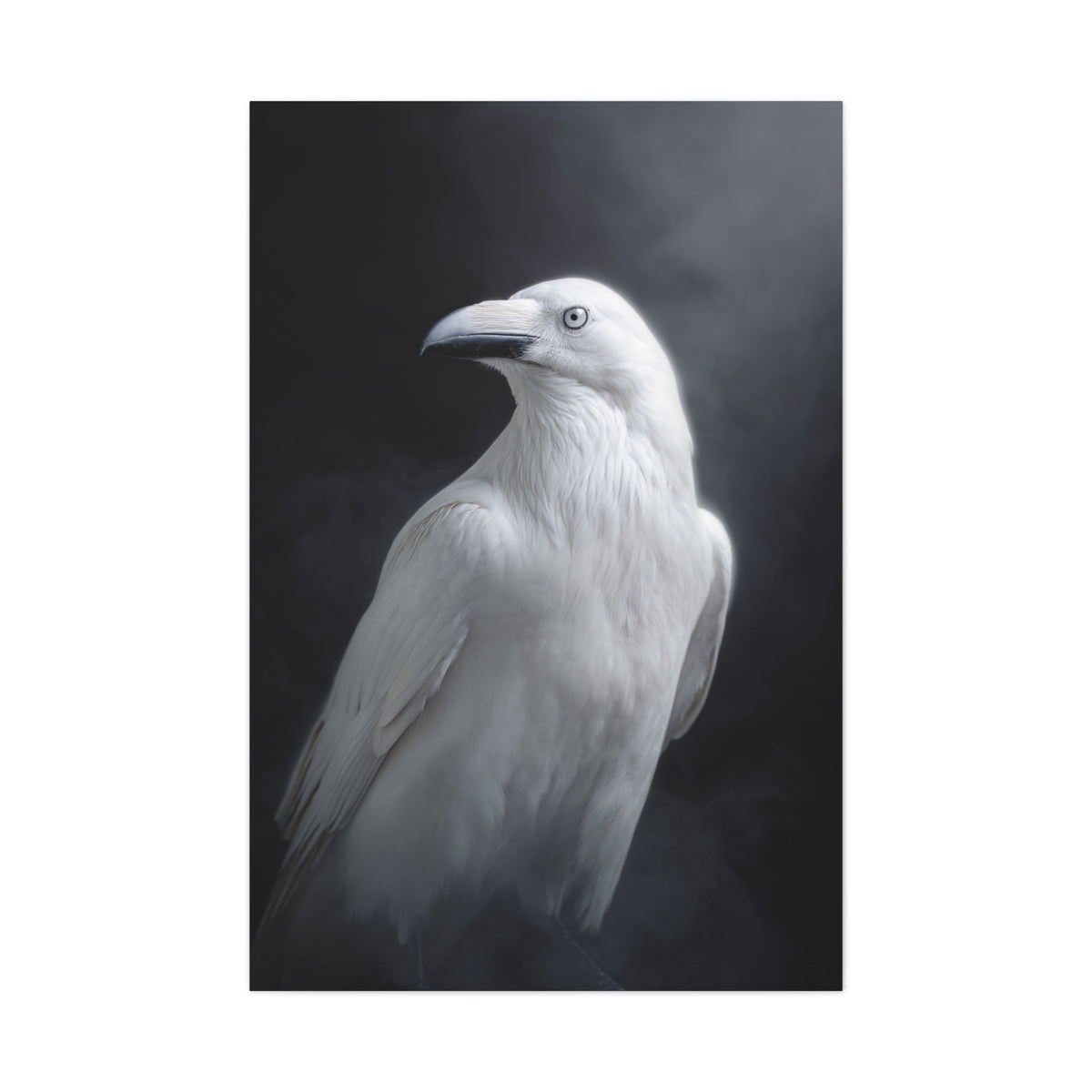 Elegant White Raven Portrait Wall Art & Canvas Print