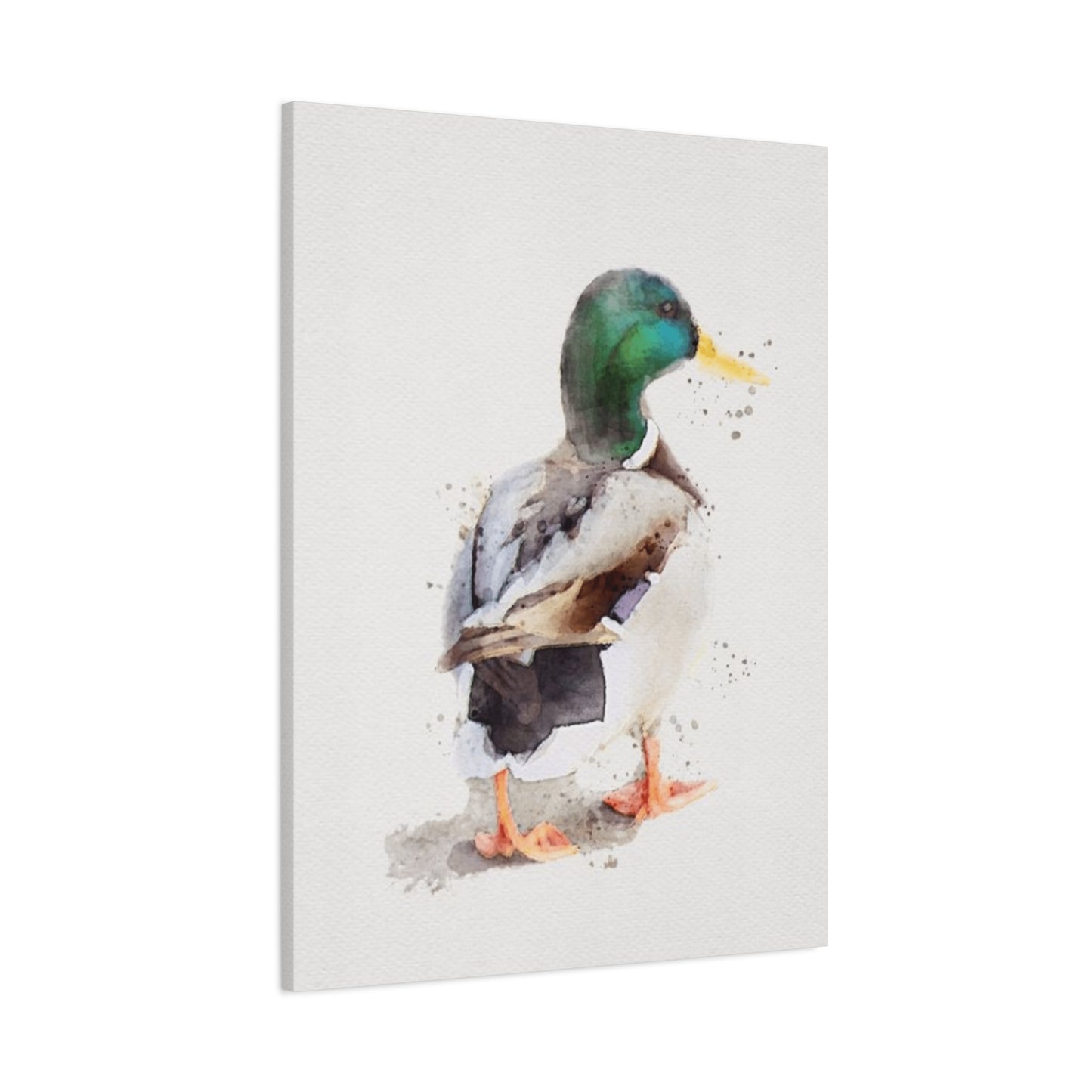 Walking Duck Painting Wall Art & Canvas Prints