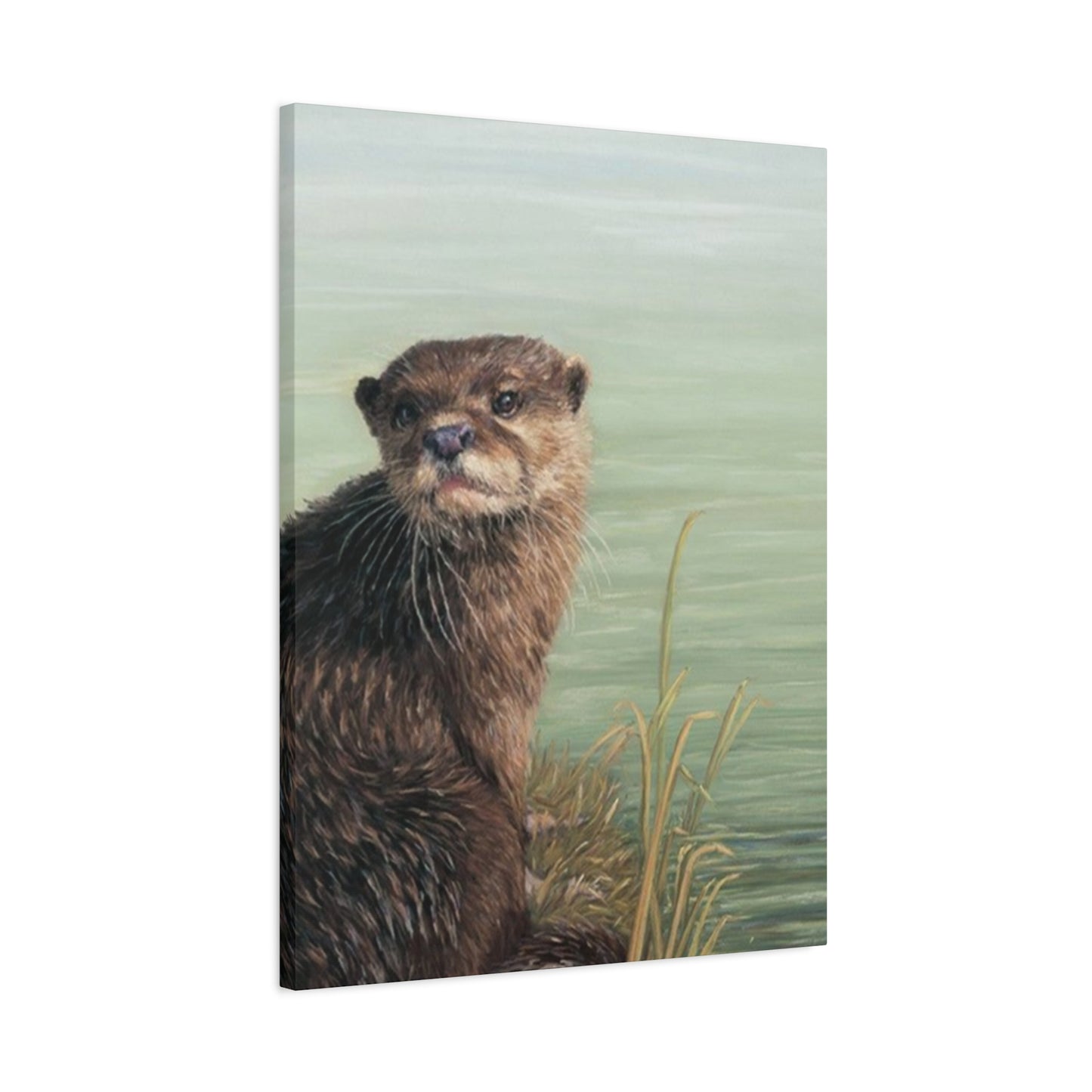 Otter Wall Art & Canvas Prints