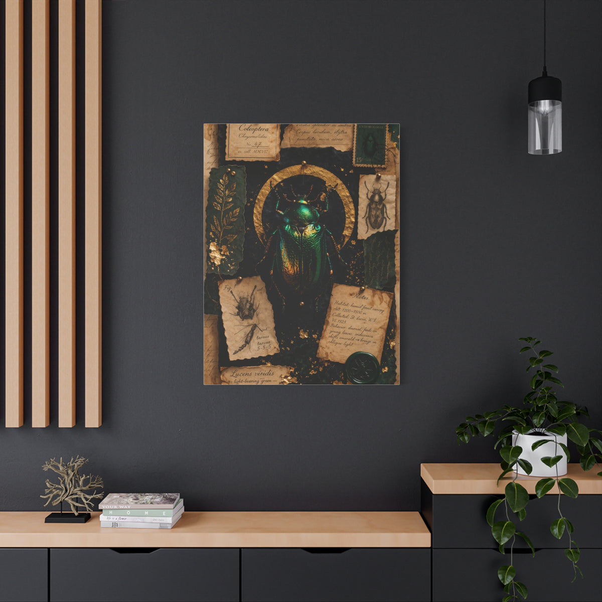 Cabinet of Curiosities Insect Study Wall Art & Canvas Print