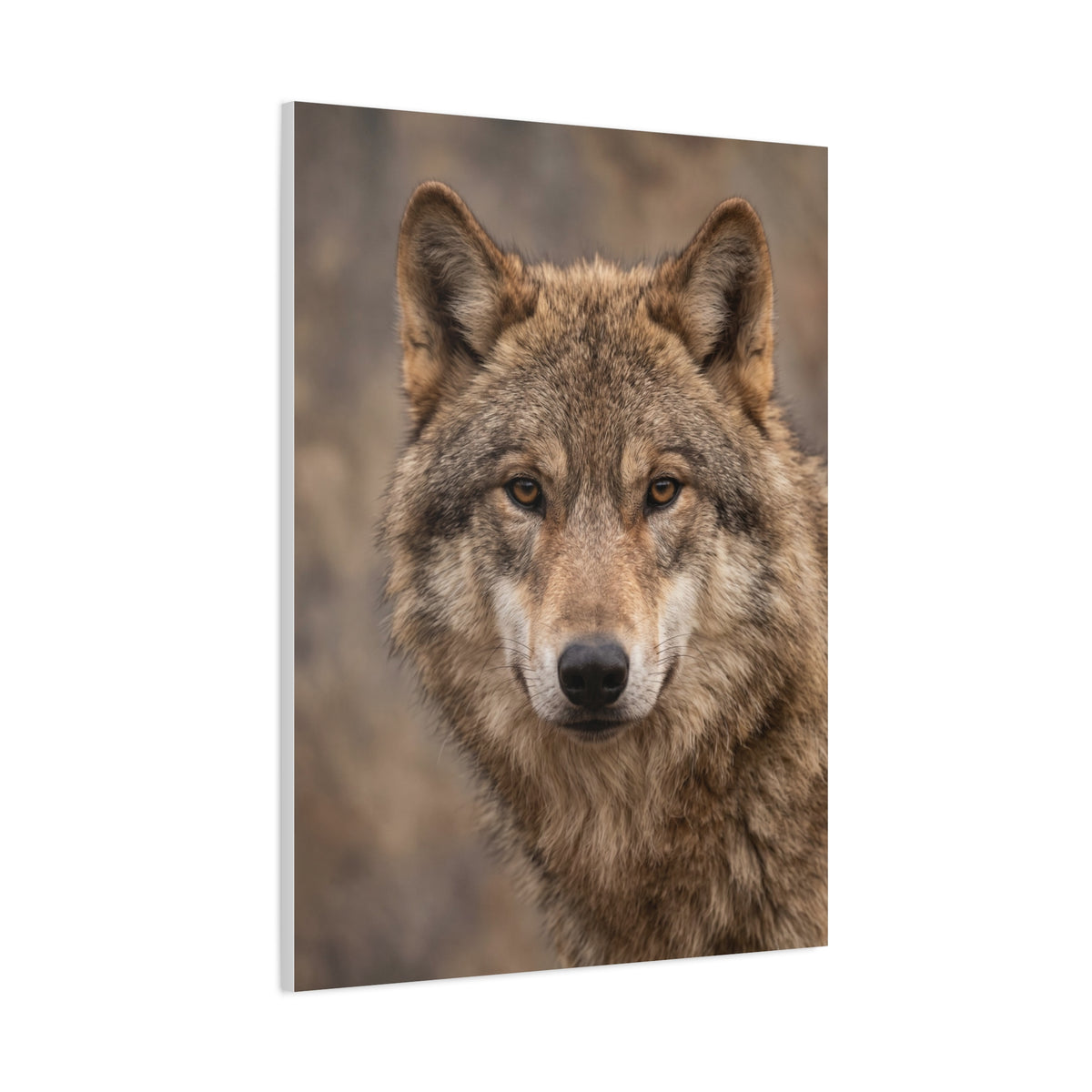 Natural Gray Wolf Close Portrait Wall Art & Canvas Print