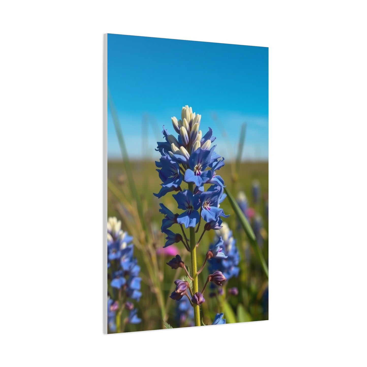 Bluebonnet Flower Art Supreme Canvas Gallery Wall Art & Canvas Print