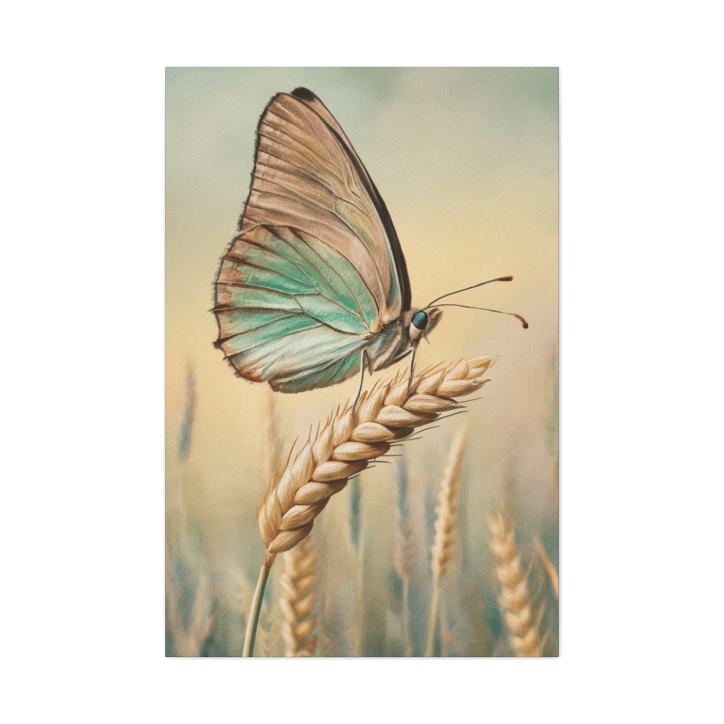 Butterfly on Wheat Crop Painting Wall Art & Canvas Prints