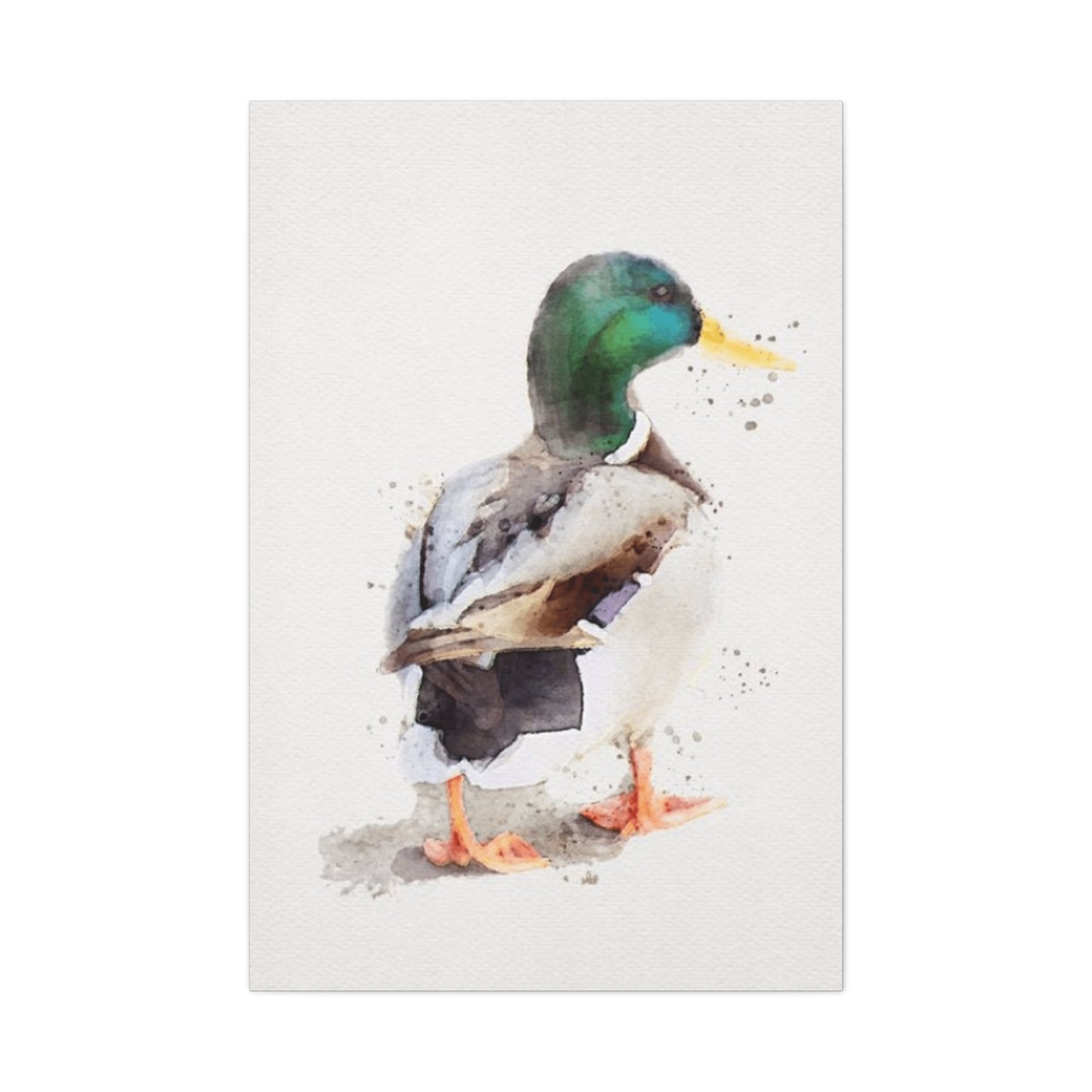 Walking Duck Painting Wall Art & Canvas Prints