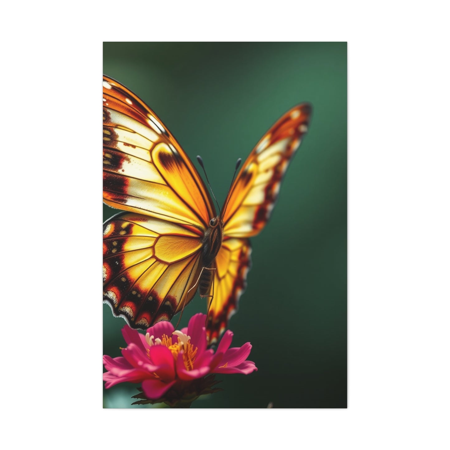 Chrysalis Symphony Wall Art Wall Art & Canvas Print