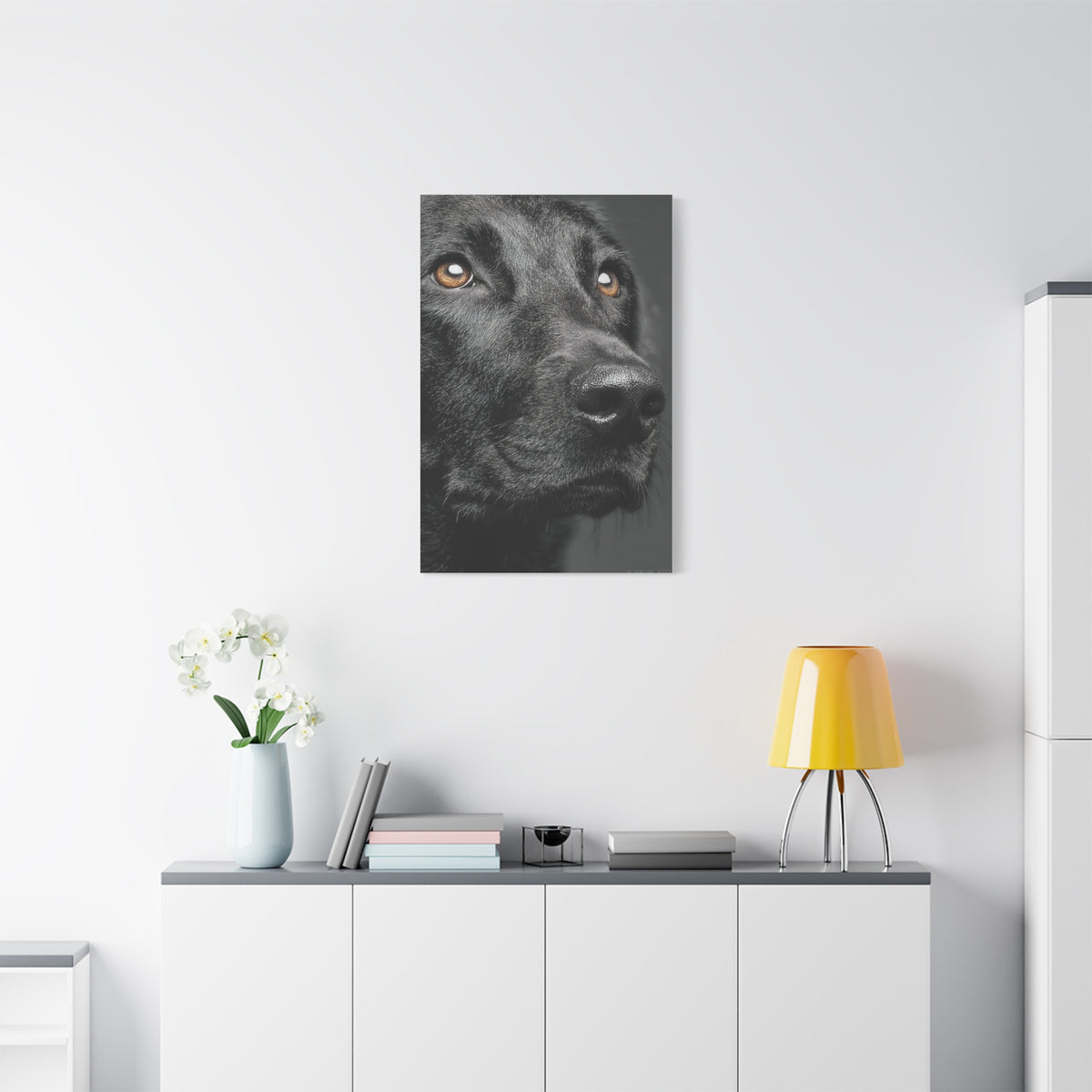 Black Labrador Fine Art Close-Up Wall Art & Canvas Print